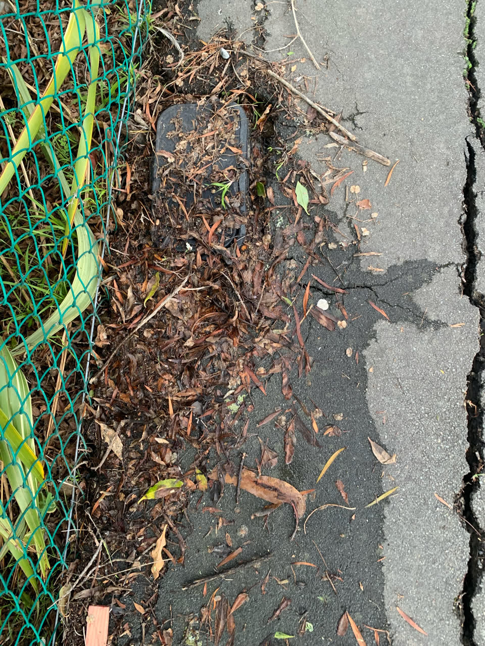 The photograph attached to this water supply report