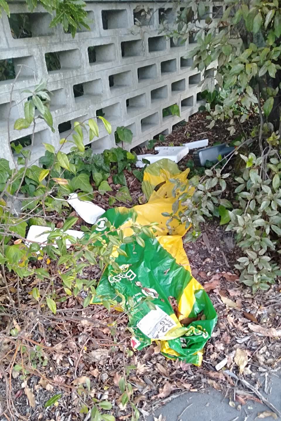 The photograph attached to this rubbish/recycling report