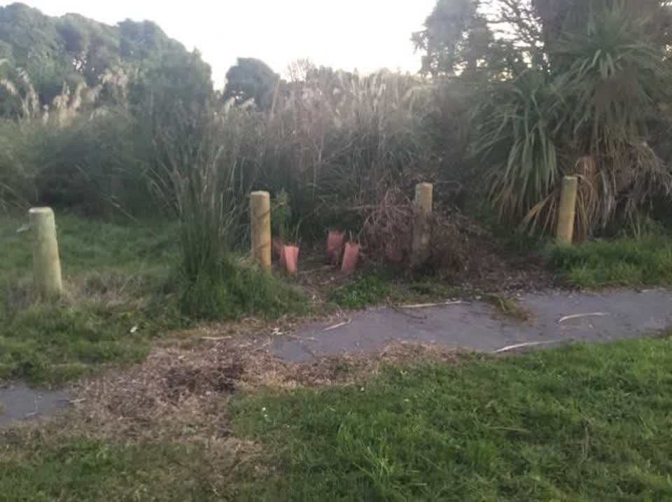 The photograph attached to this parks report