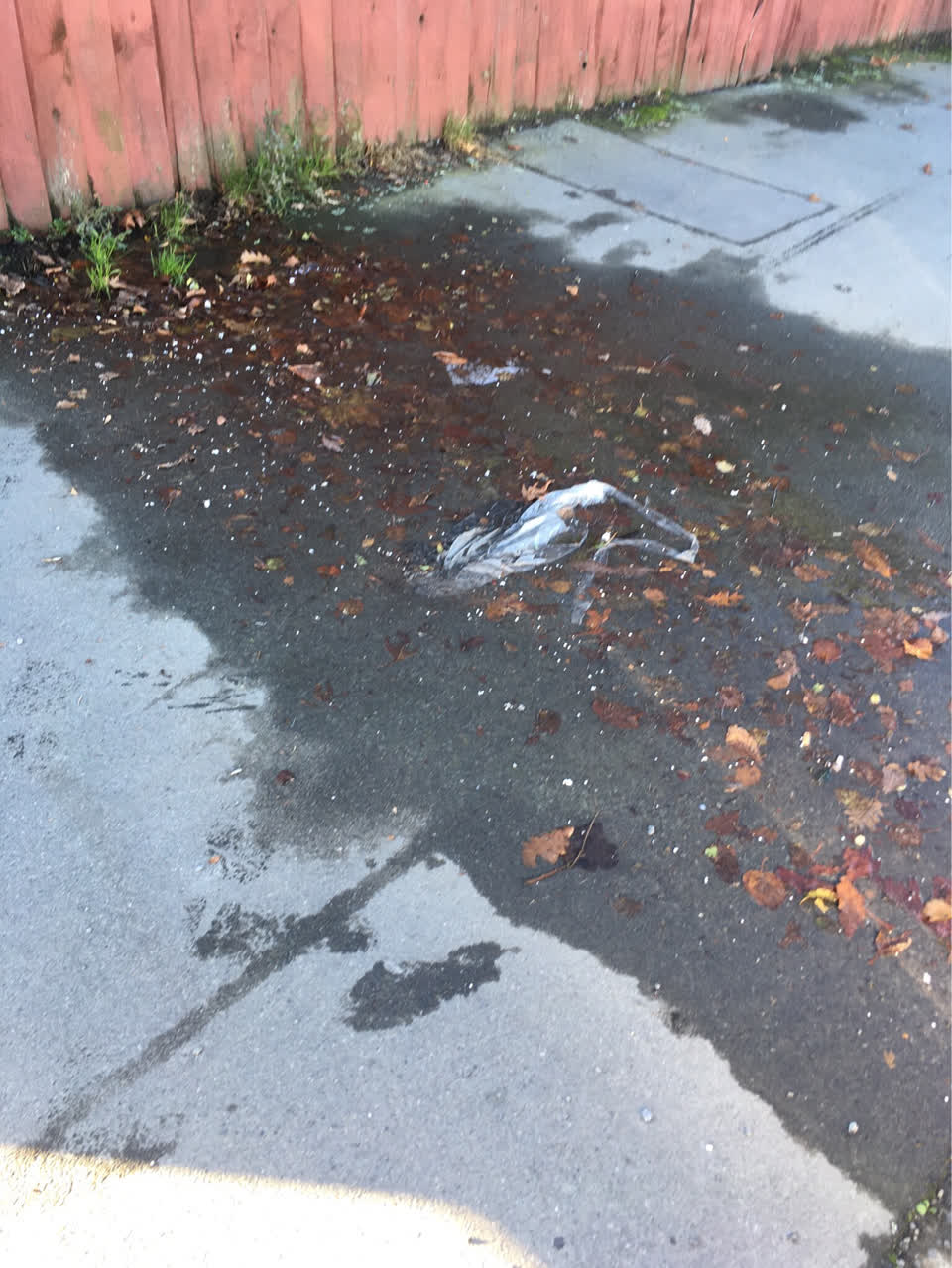The photograph attached to this flooding report