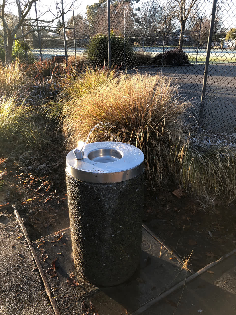 The photograph attached to this parks report
