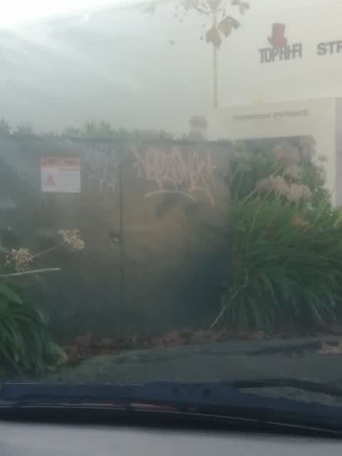 Graffiti, a report photo
