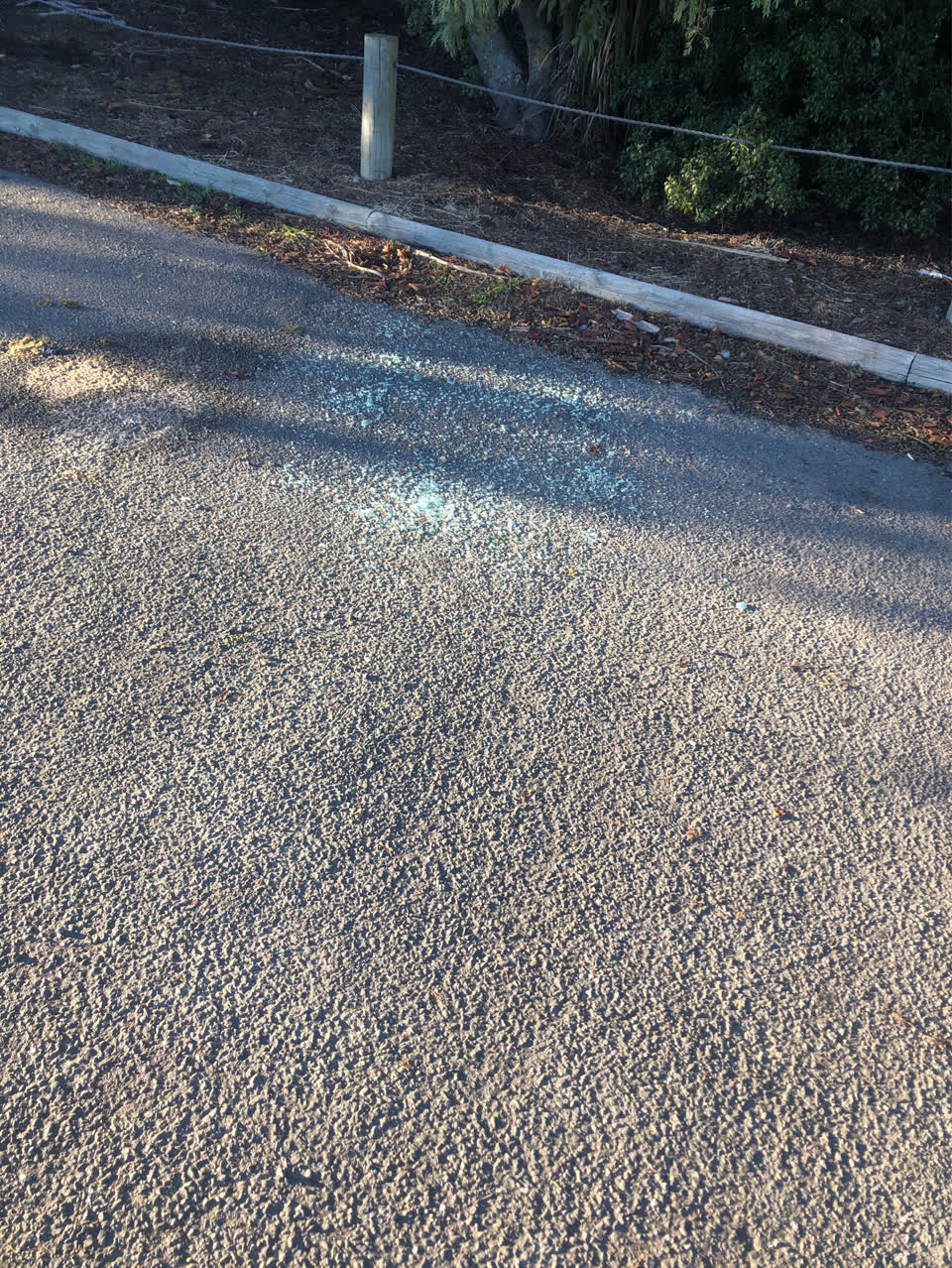 The photograph attached to this parks report