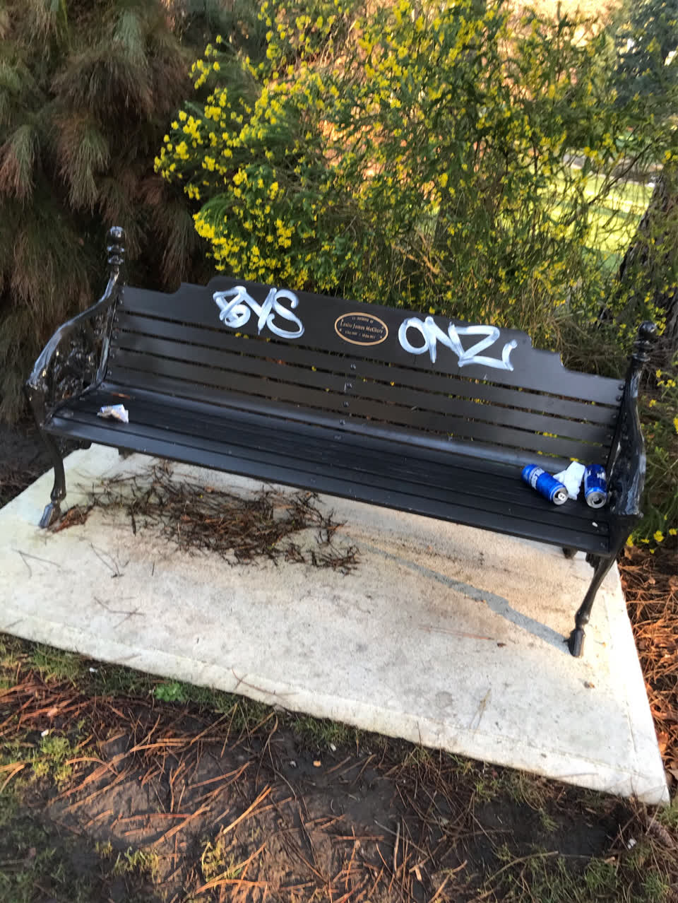The photograph attached to this graffiti report