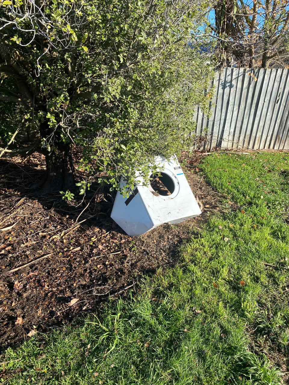 The photograph attached to this parks report