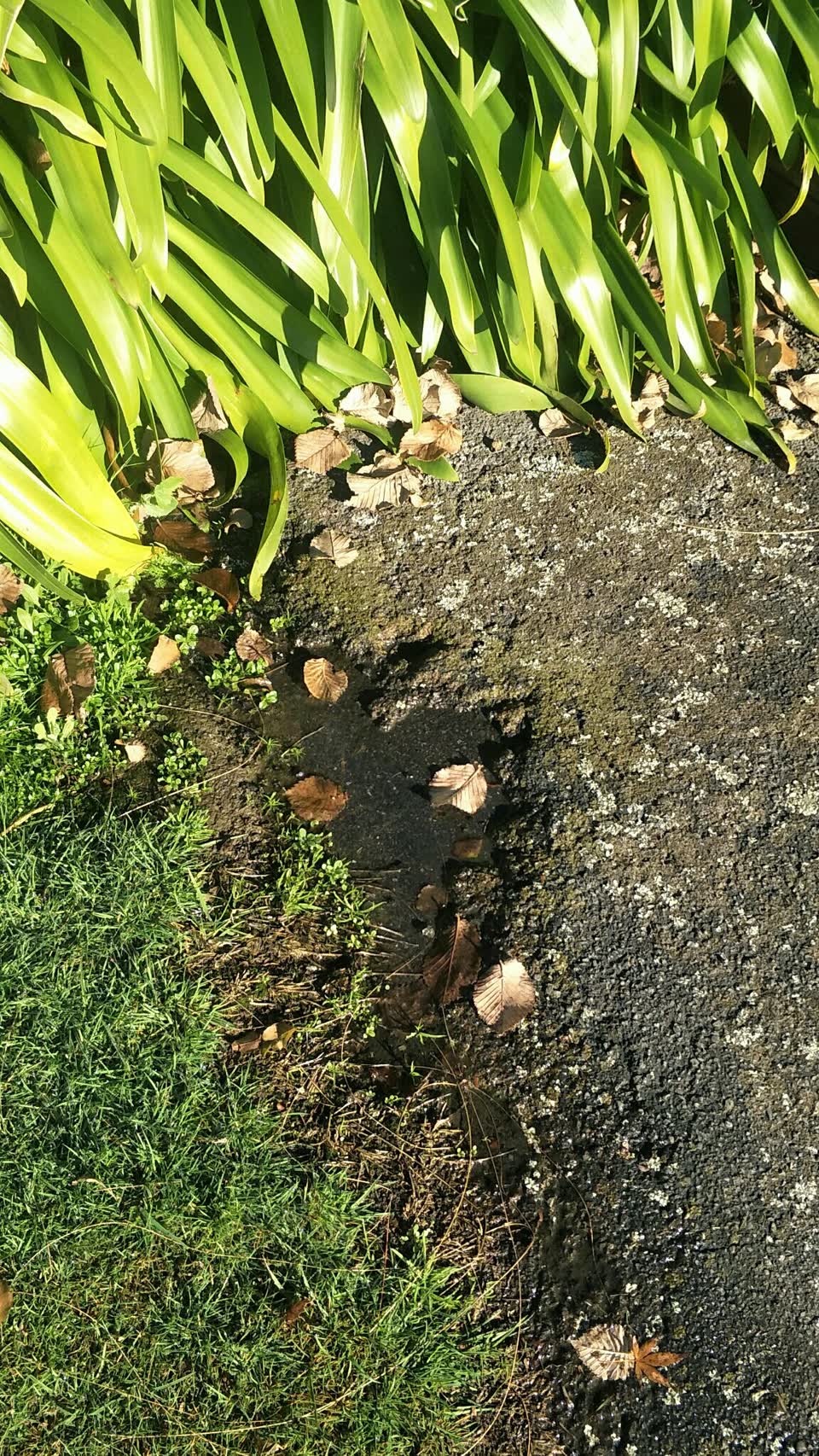 The photograph attached to this water supply report