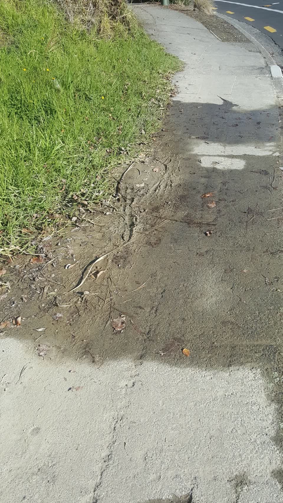 The photograph attached to this flooding report