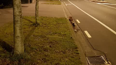 Roading/Streets, a report photo