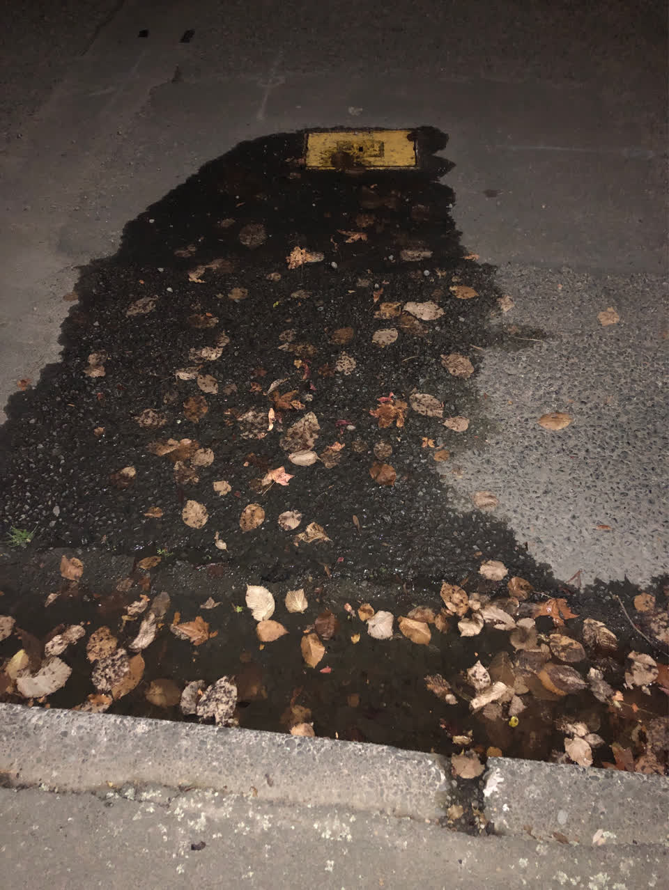 The photograph attached to this water supply report
