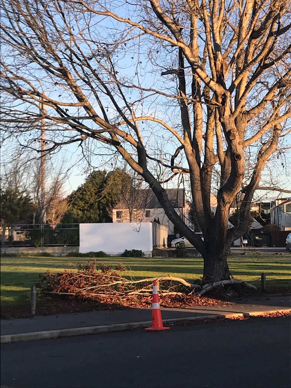 The photograph attached to this parks report