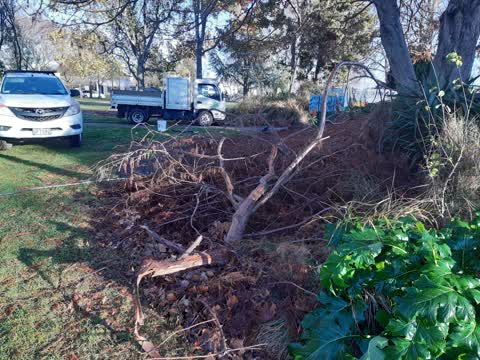 Parks, a report photo