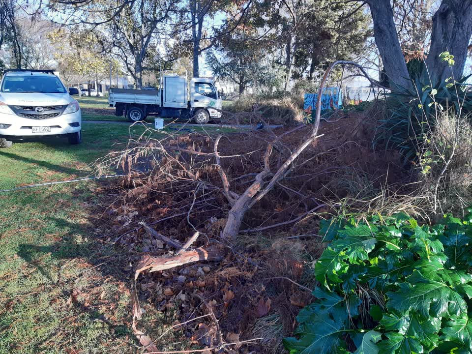 The photograph attached to this parks report