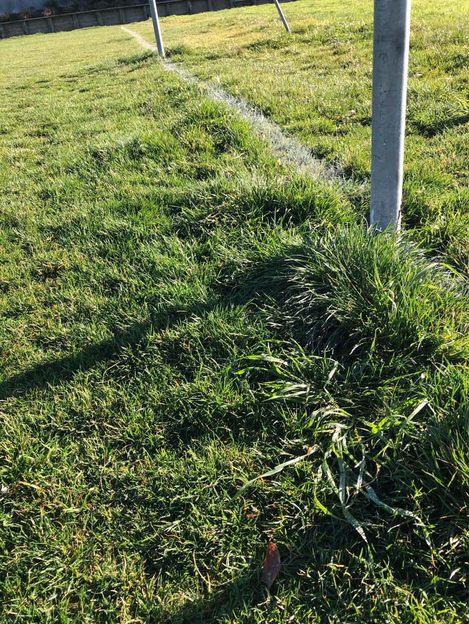 The photograph attached to this parks report