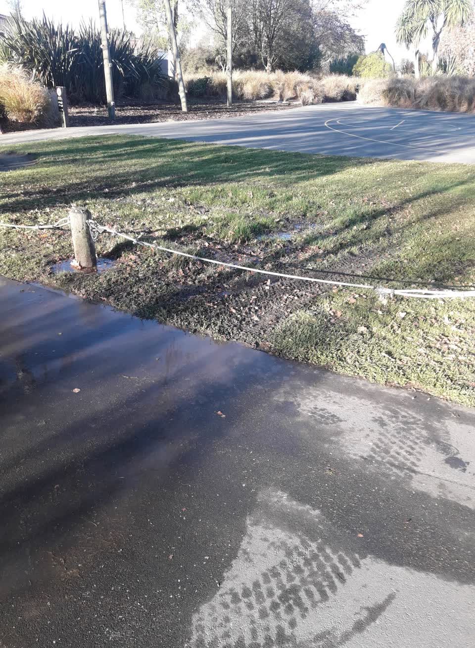 The photograph attached to this parks report
