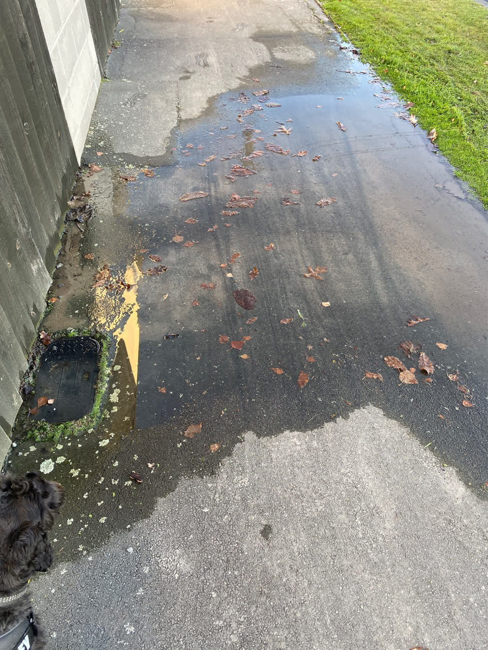 The photograph attached to this water supply report