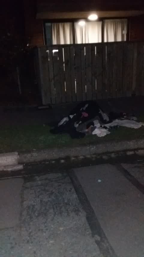 Rubbish/Recycling, a report photo