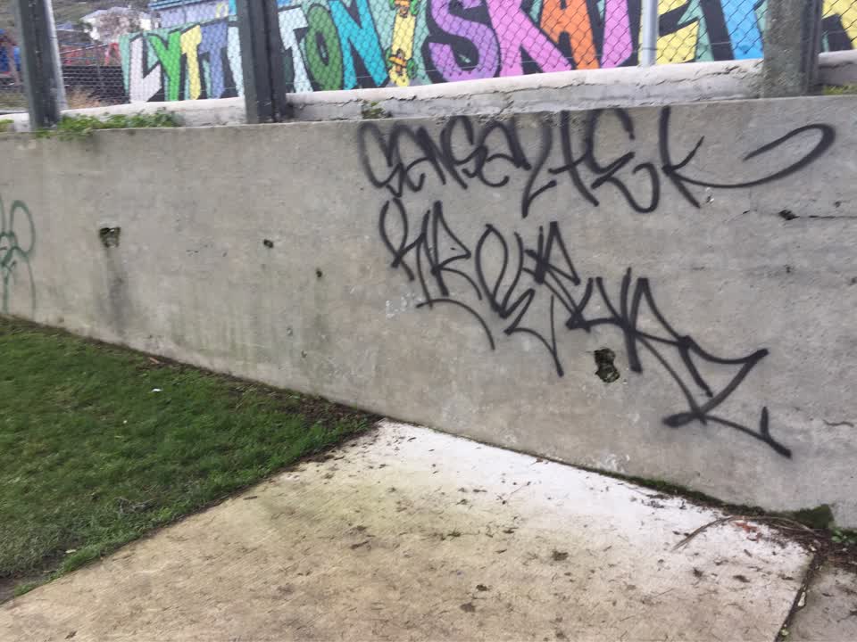The photograph attached to this graffiti report