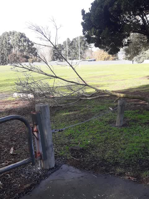 Parks — a report photo