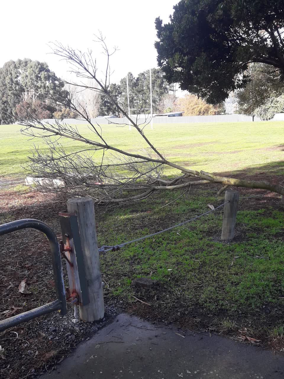 The photograph attached to this parks report