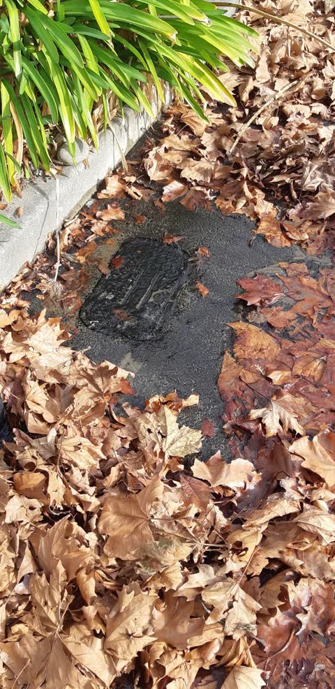 Water Supply, a report photo