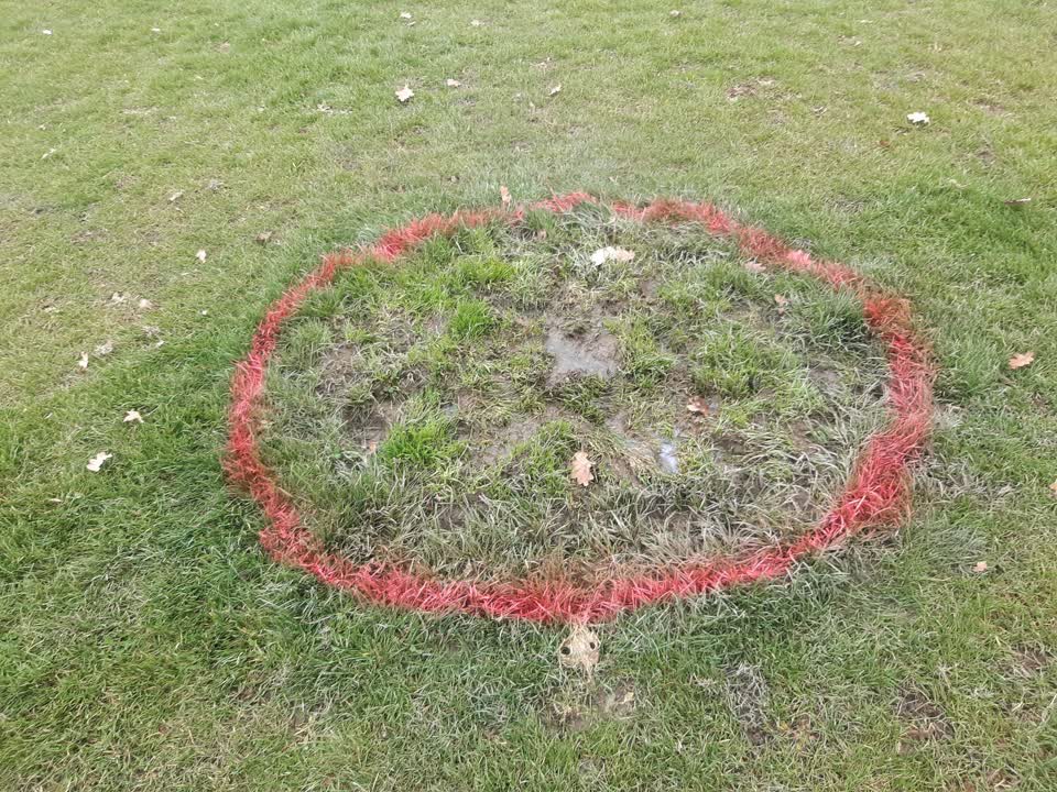 The photograph attached to this parks report