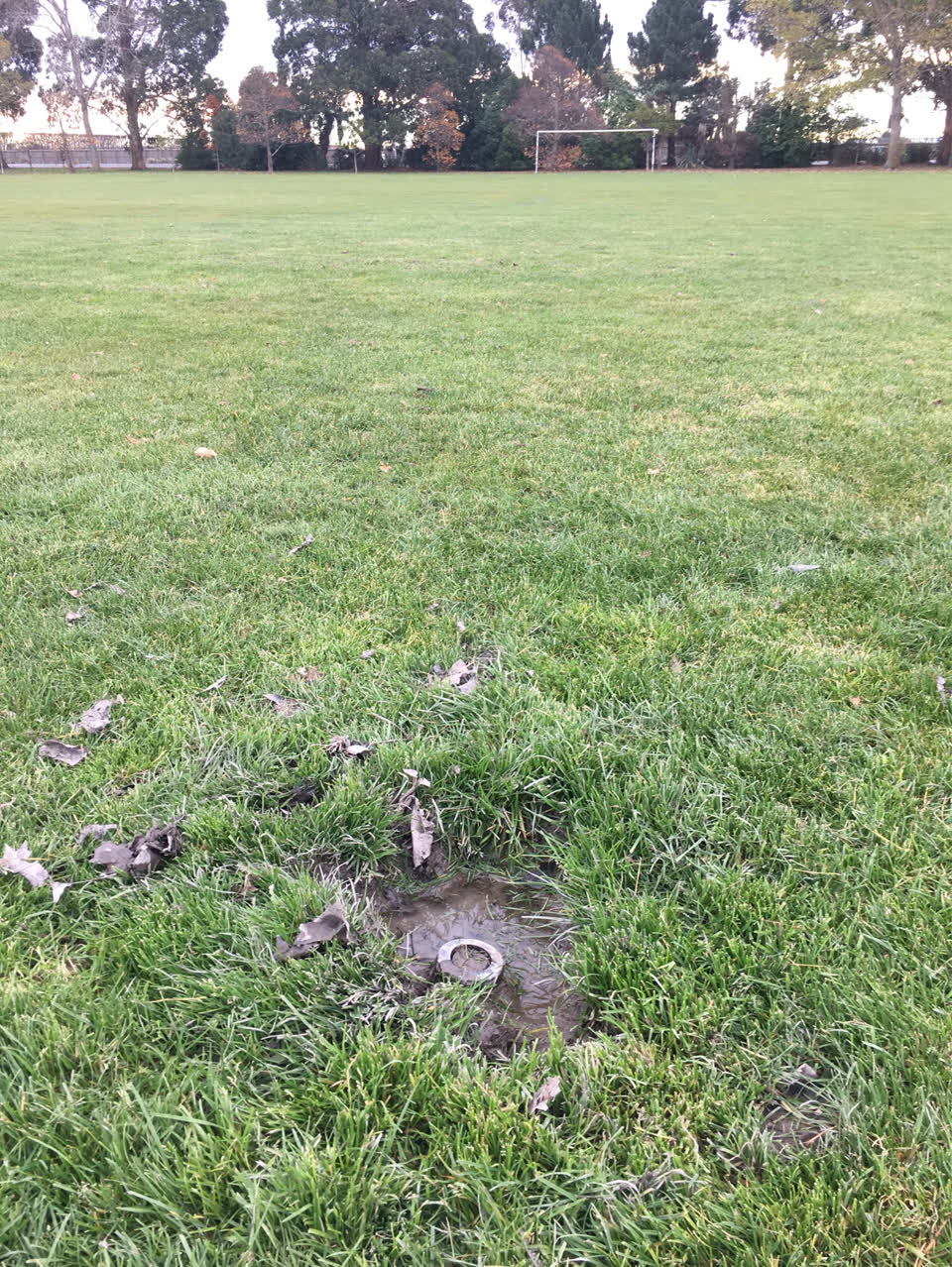 The photograph attached to this parks report