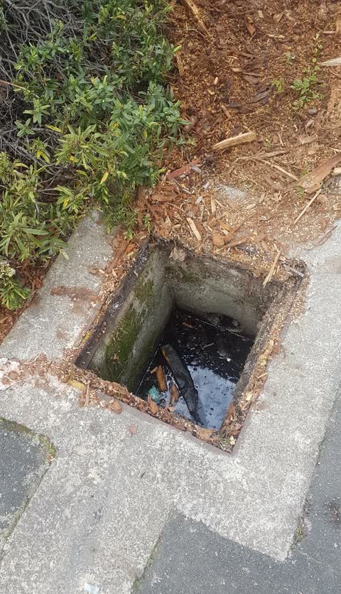 Wastewater/Stormwater, a report photo