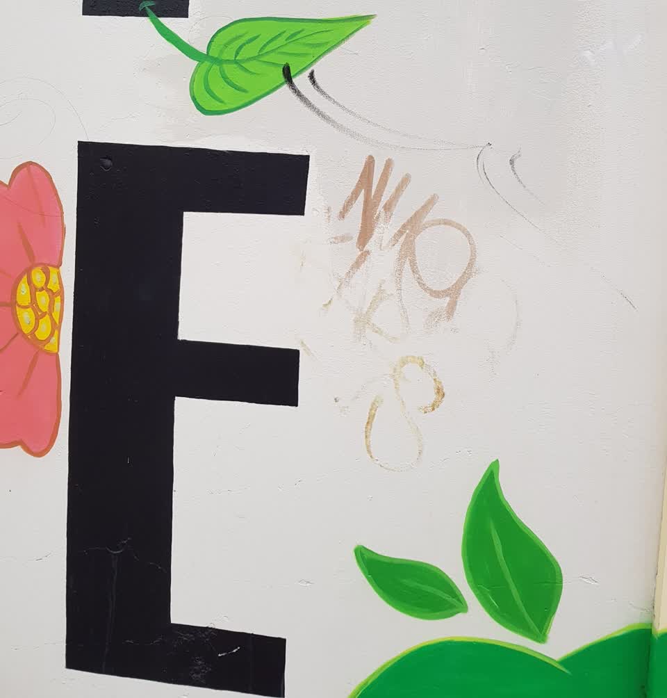 The photograph attached to this graffiti report