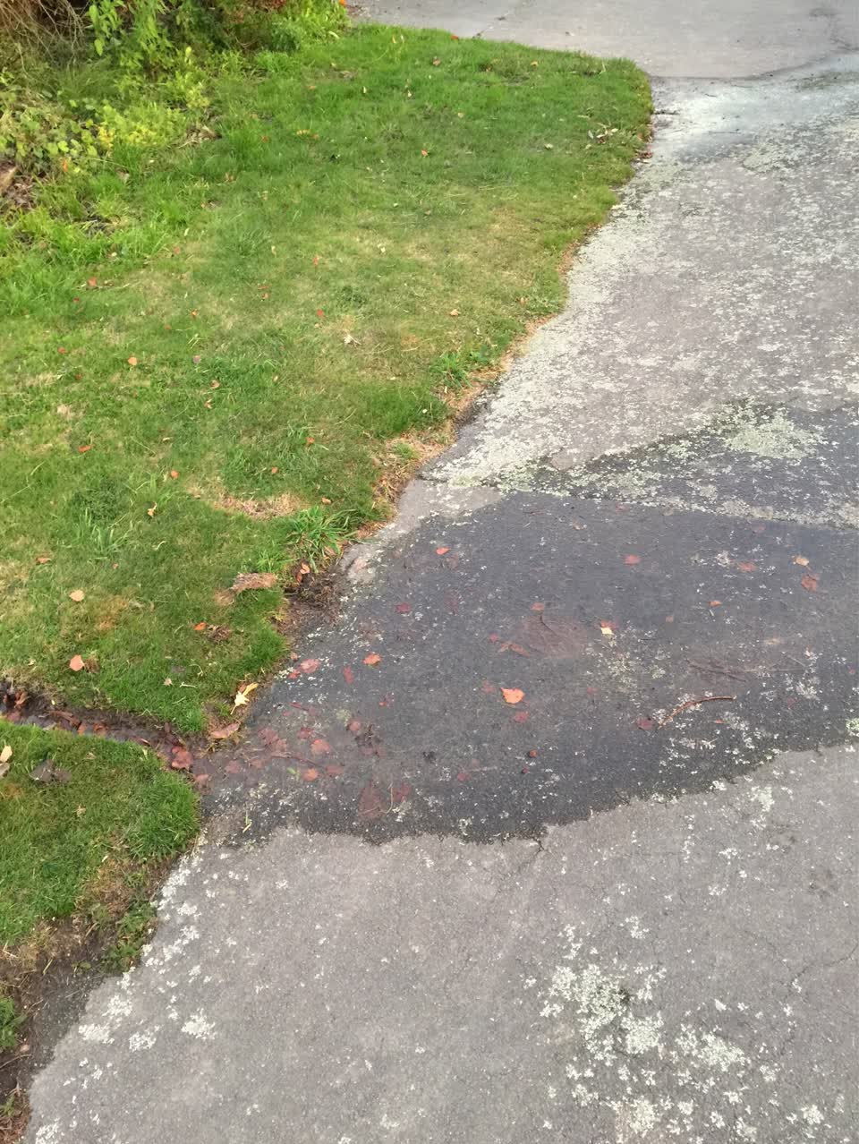 The photograph attached to this flooding report