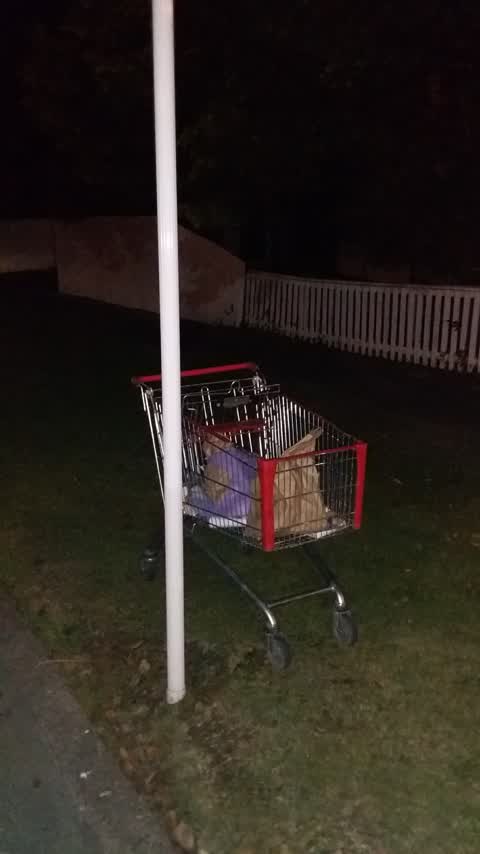 Rubbish/Recycling, a report photo