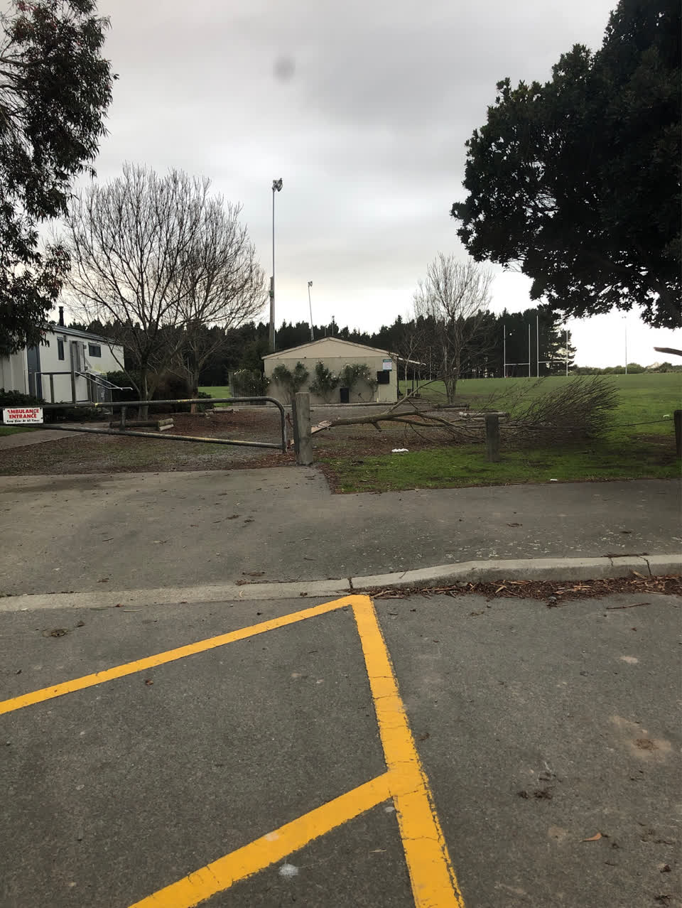 The photograph attached to this parks report