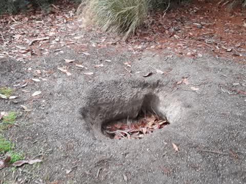Parks, a report photo