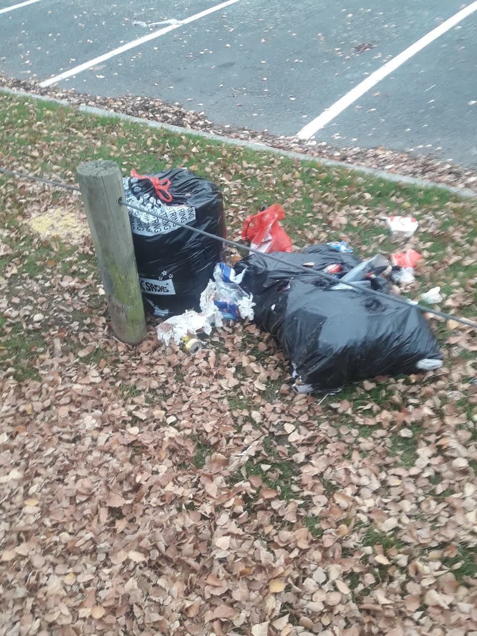The photograph attached to this parks report