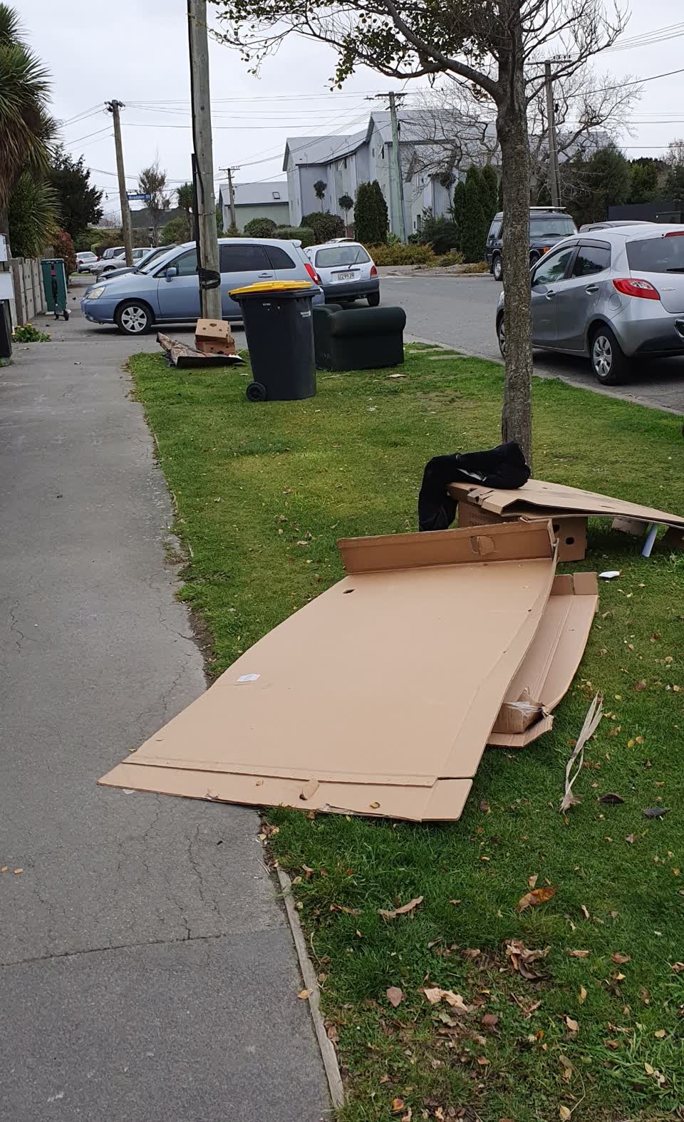 The photograph attached to this rubbish/recycling report