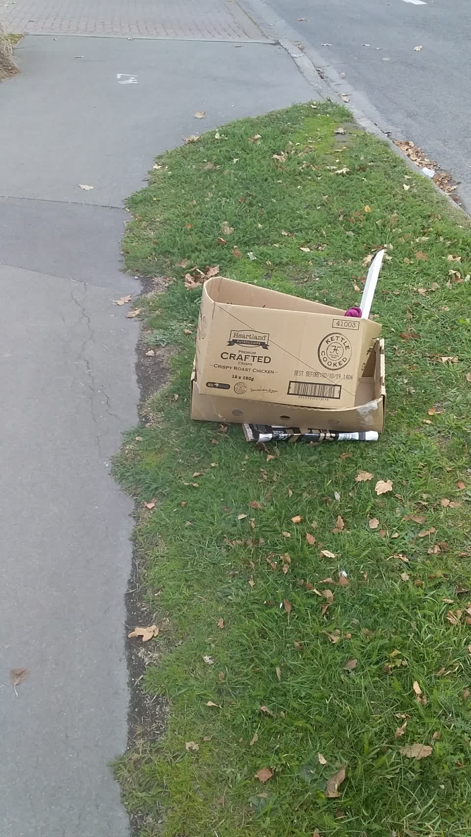 The photograph attached to this rubbish/recycling report