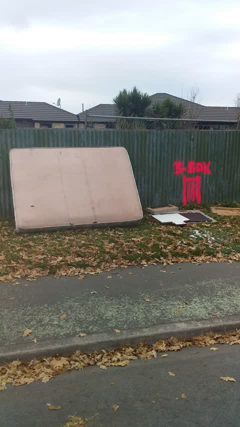 Rubbish/Recycling — a report photo