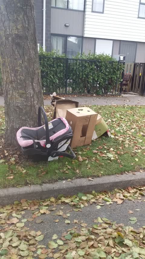 Rubbish/Recycling, a report photo