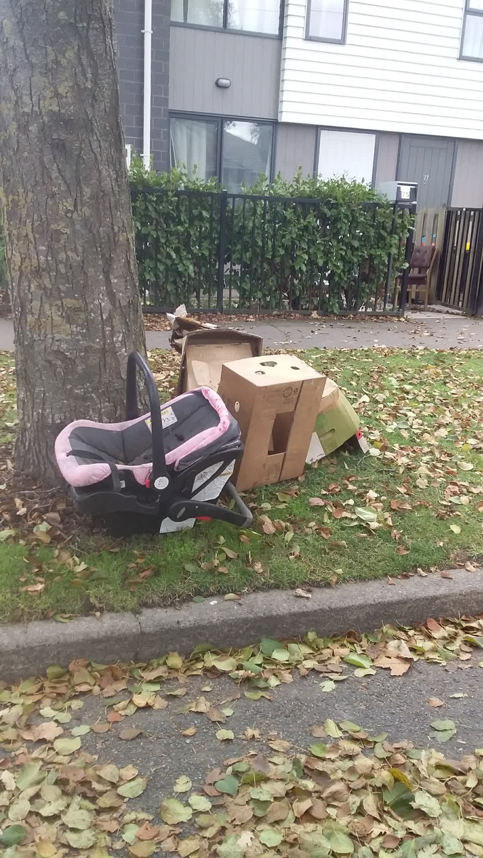 The photograph attached to this rubbish/recycling report
