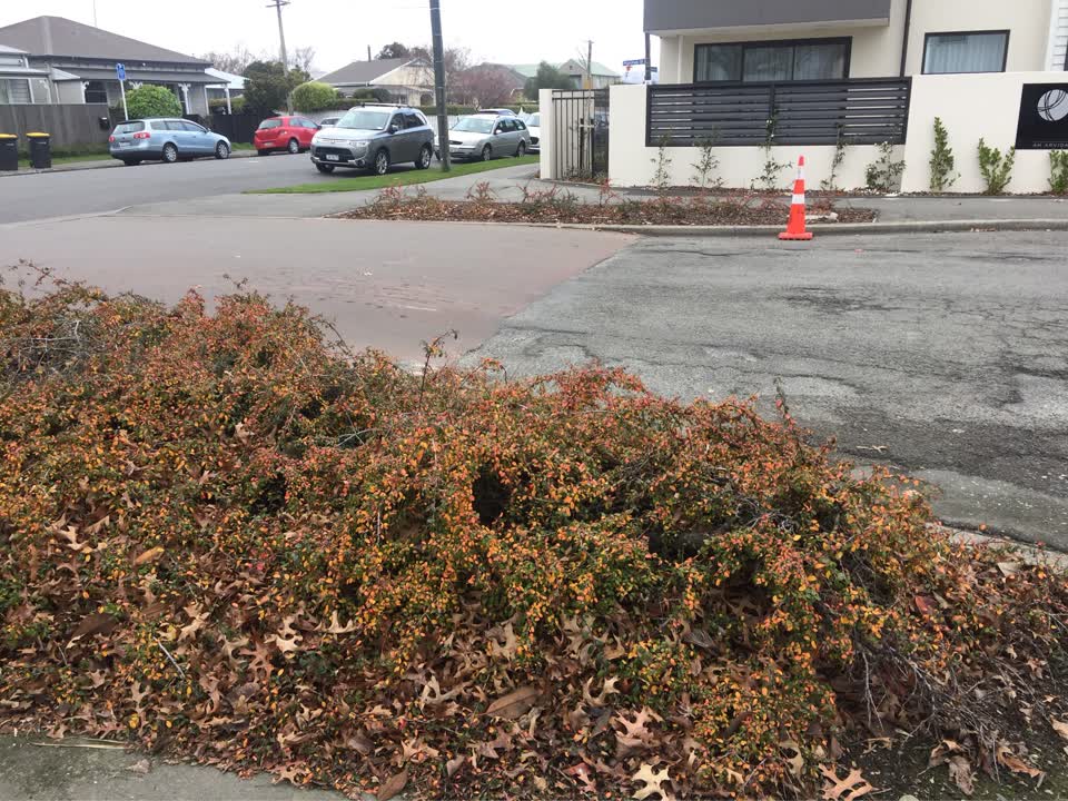The photograph attached to this roading/streets report