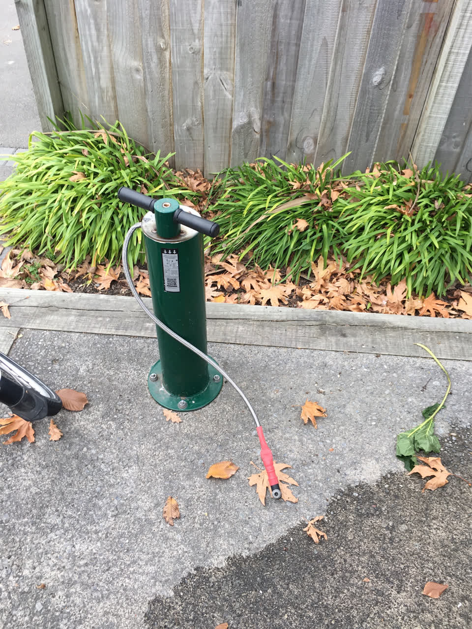 The photograph attached to this parks report