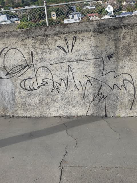 Graffiti, a report photo