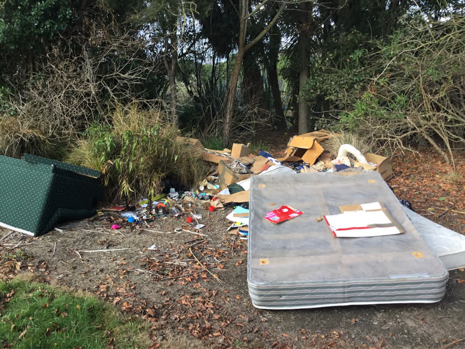 The photograph attached to this rubbish/recycling report