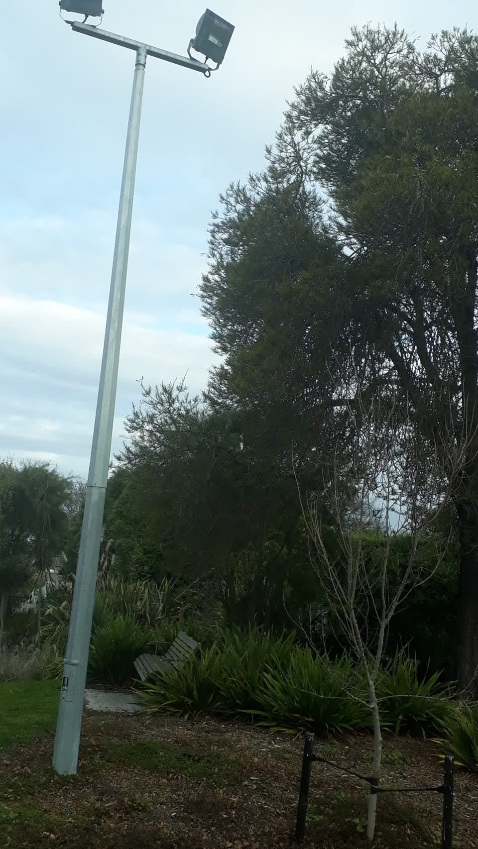 The photograph attached to this parks report