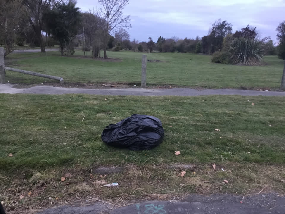 The photograph attached to this rubbish/recycling report