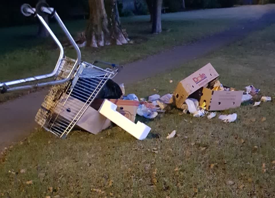 The photograph attached to this parks report