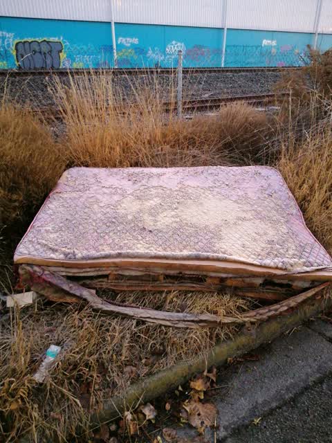 Rubbish/Recycling, a report photo