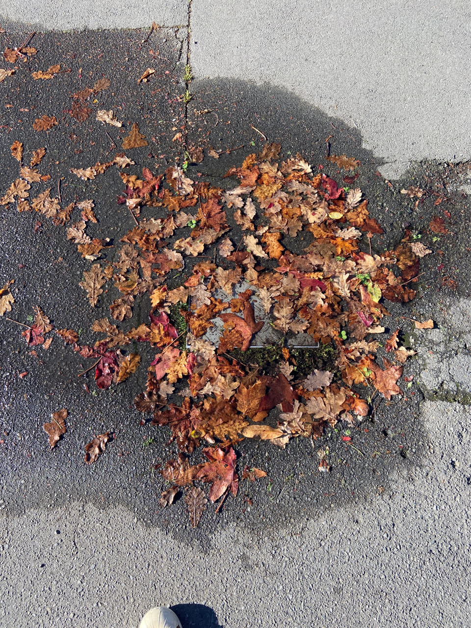 The photograph attached to this water supply report