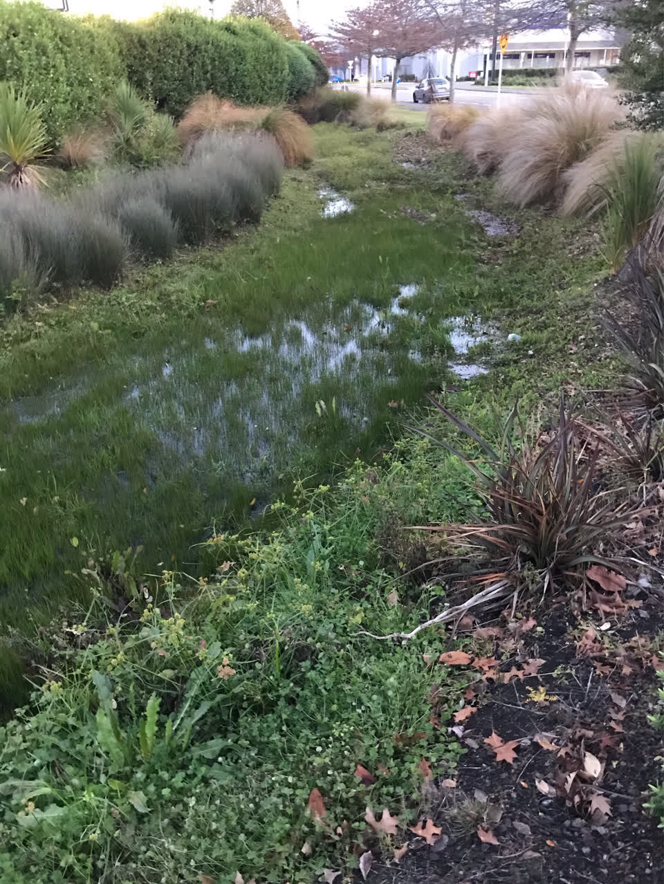 The photograph attached to this wastewater/stormwater report