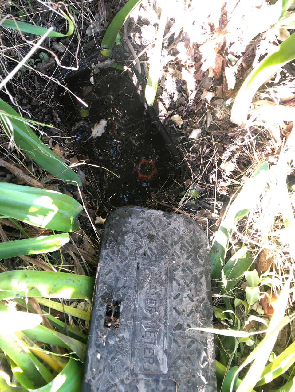 The photograph attached to this water supply report