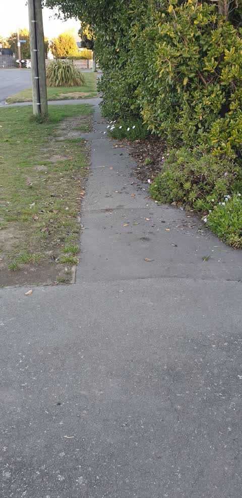 Roading/Streets, a report photo
